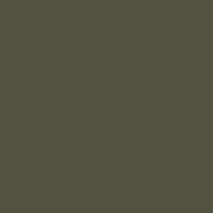 NO.11 Sage Olive